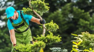 empresa de jardinería